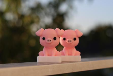 Small Piggy 