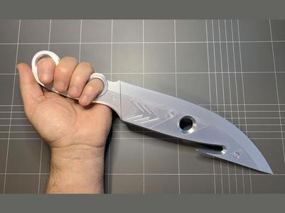 Destiny (the game) Hunter's Knife