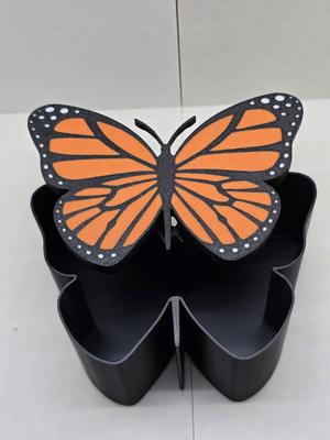 Butterfly Box