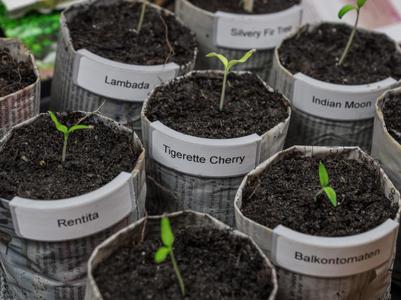 Attachable label for seedlings and pot plants