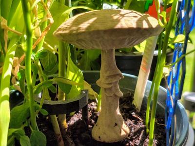 Mushroom