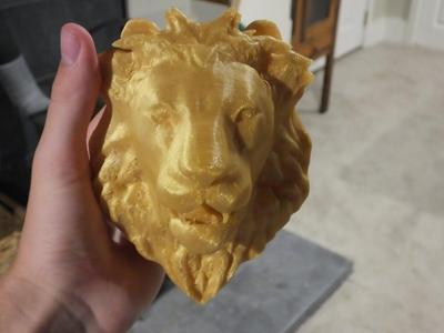 Flat Lion Head
