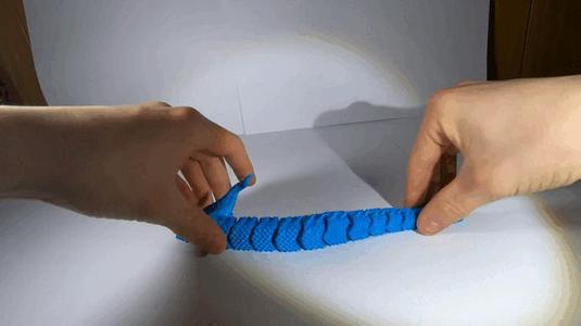 DRAGON articulé