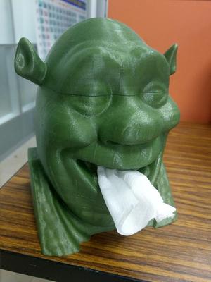 Shrek Tissue Box