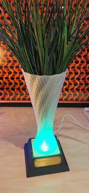 Trophy Vase and LED Trophy Base   