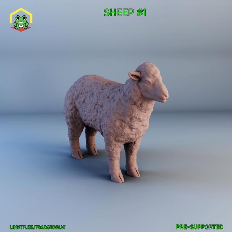 sheep -1