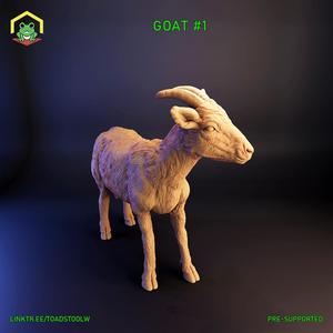 Goat (female)
