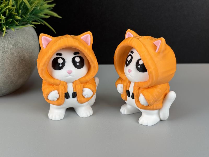 Hoodie Cat