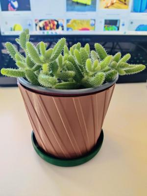 Small Planter with Plate