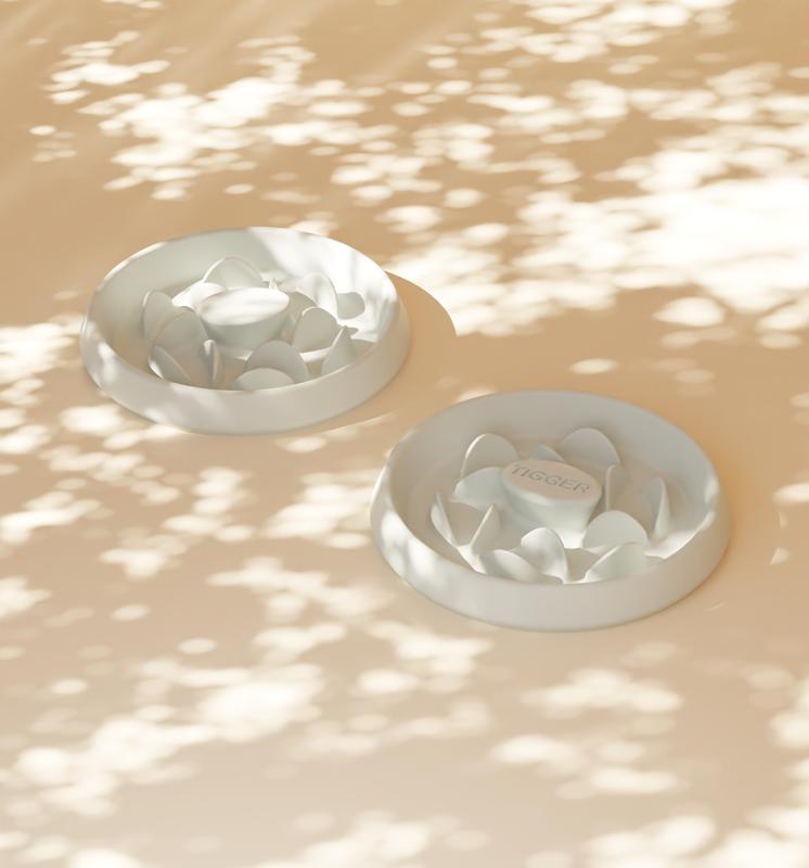 Slow Feeder Bowl for Cats