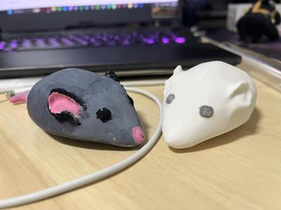 Rat