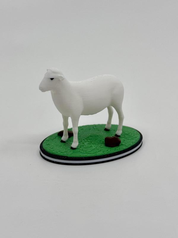Sheep/Lamb