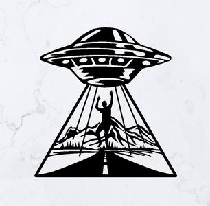 UFO Abduction