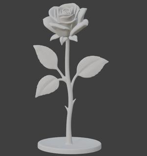 rose