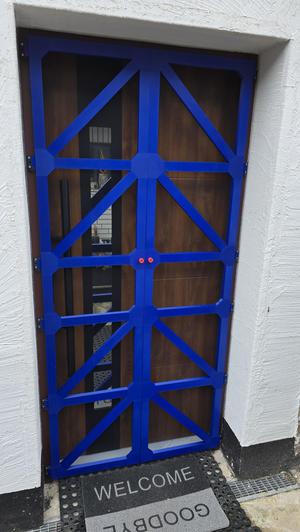 Insect Protection, Door, Flyscreen, Fly Net, Fliegengitter, Fliegenschutz, Insektenschutz, Tür