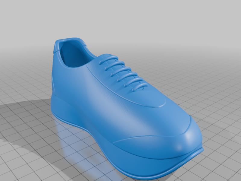 Shoe