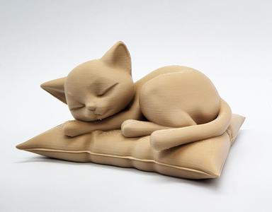 Sleeping Cat on Pillow