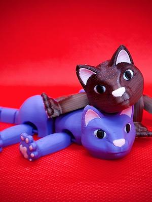 Fabulous Flexi Felines - AKA Flexi Cats