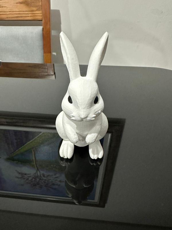Rabbit Bunny Model - Eyes.3mf