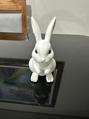 Rabbit Bunny Model - Eyes.3mf