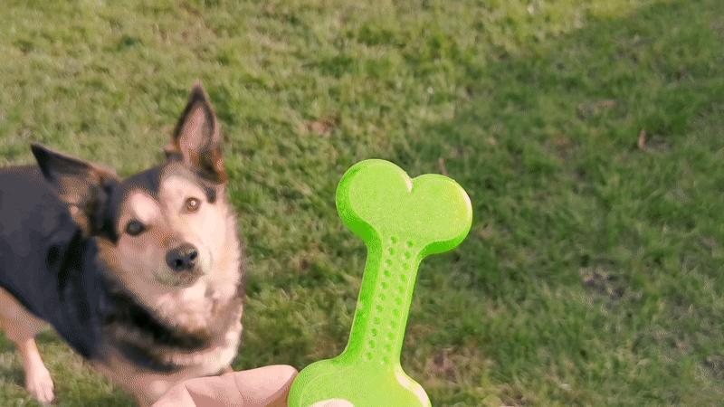 Throw Me A Bone - TPU Dog Toy