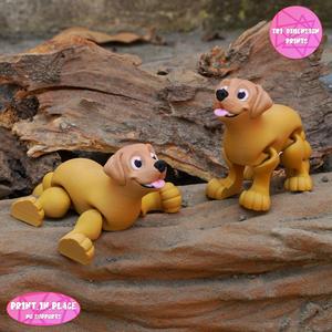 Flexi Labrador Dog