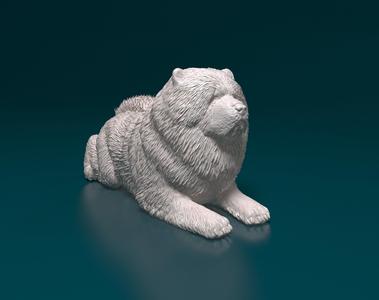 Chow-chow dog