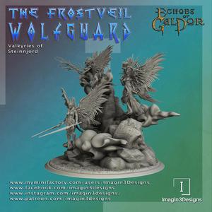 The Valkyries of Steinnjord - Divine Shieldmaidens of the North