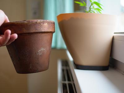 Plant Pot 4 Window Sill