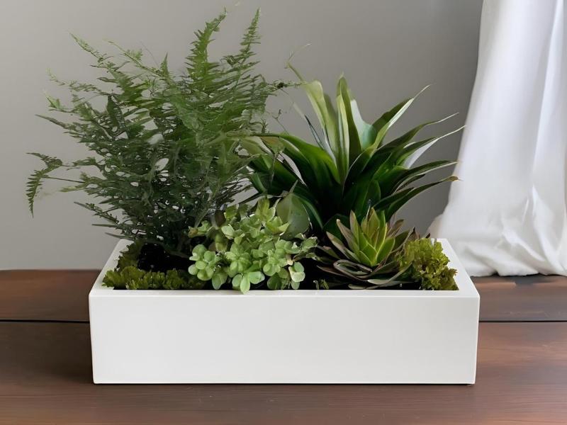 Modern Rectangular Planter