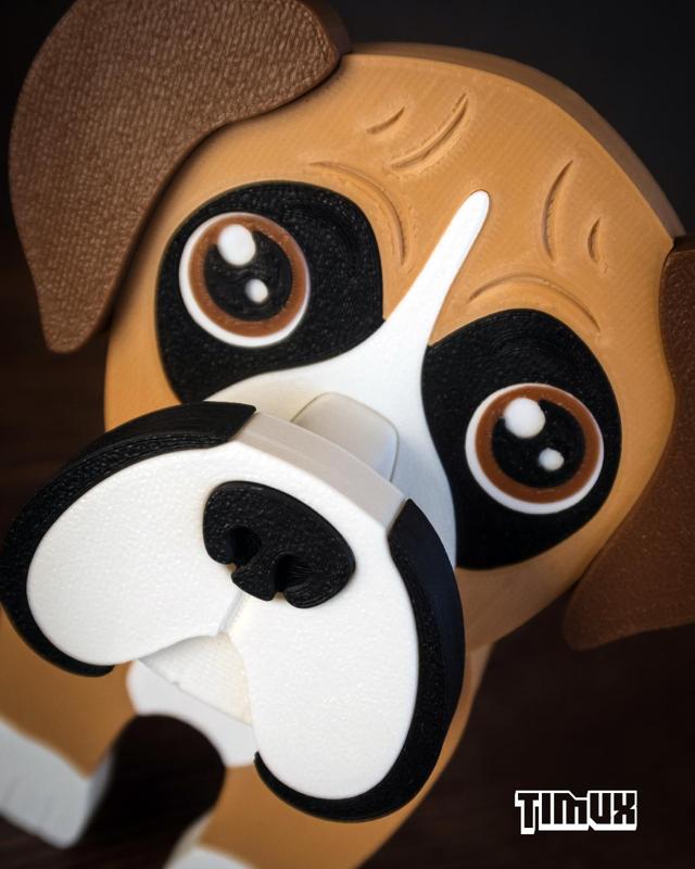 BOXER GLASSES HOLDER