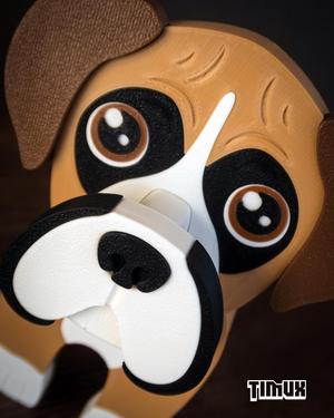 BOXER GLASSES HOLDER