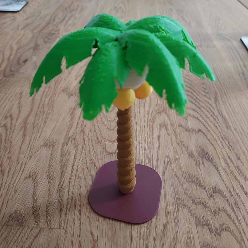 Palm Tree