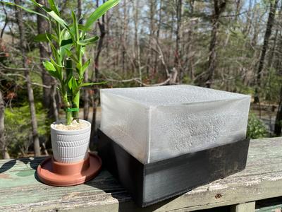 Seed Starter Tray