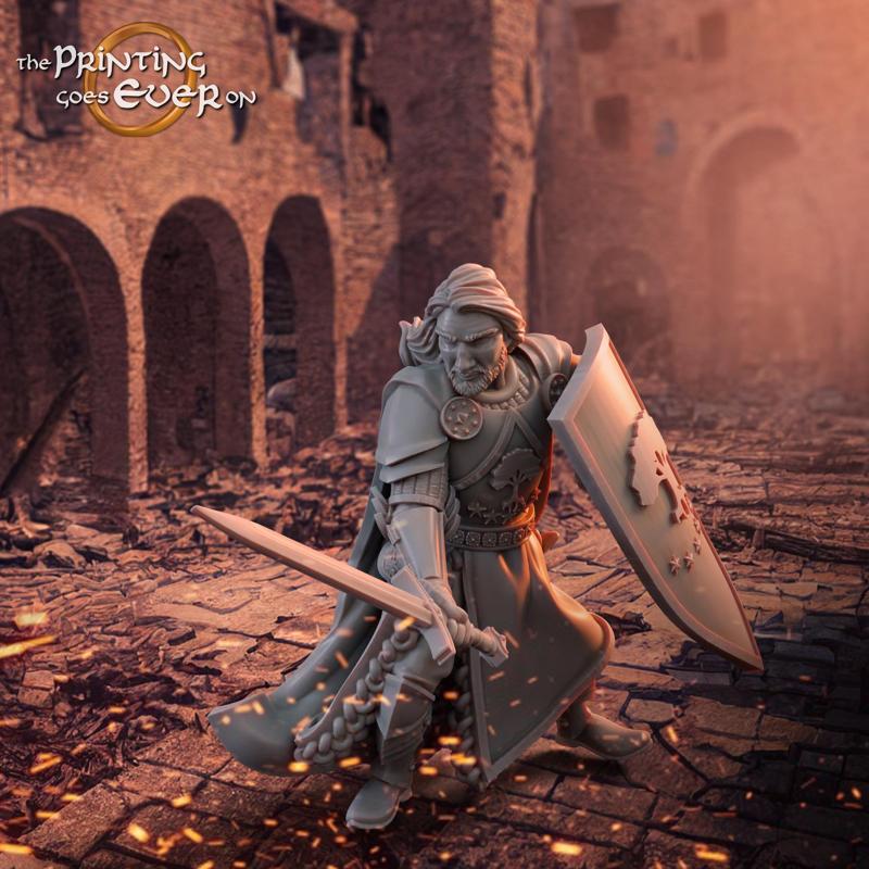 Barazan - Sword and Shield - Presupported