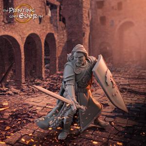 Barazan - Sword and Shield - Presupported
