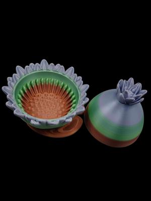 Lotus Egg 