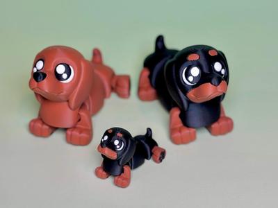 Cute Weenie Dog - Dachshund Puppy Flexi
