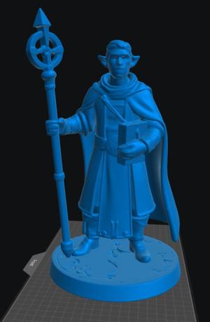 Elf Cleric Male 2