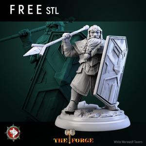 Heavy armored dwarf V6 Free STL pre-supported