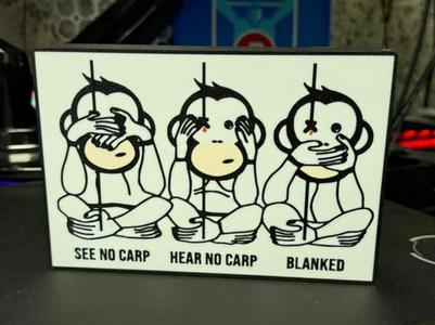 The Squirrels Nuts CARP FISHING LIGHT BOX