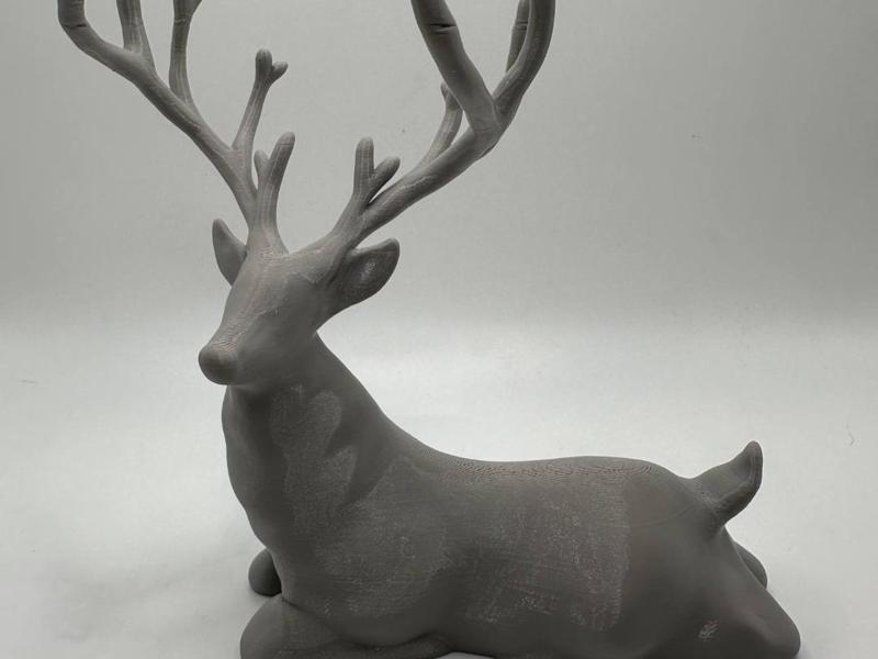Laying Deer