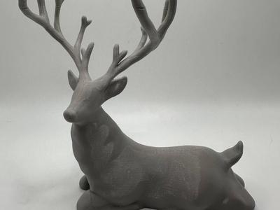 Laying Deer