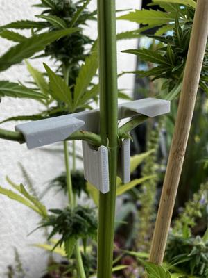 plant bender - Pflanzenbieger