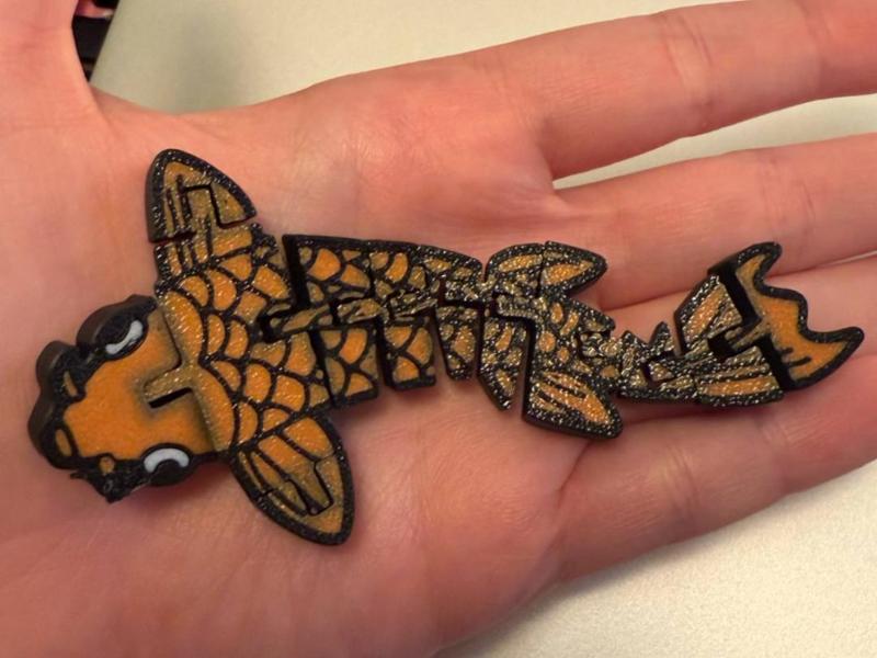 Flexi Koi Fish