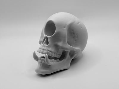 Cyclops skull