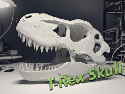 T-Rex Skull