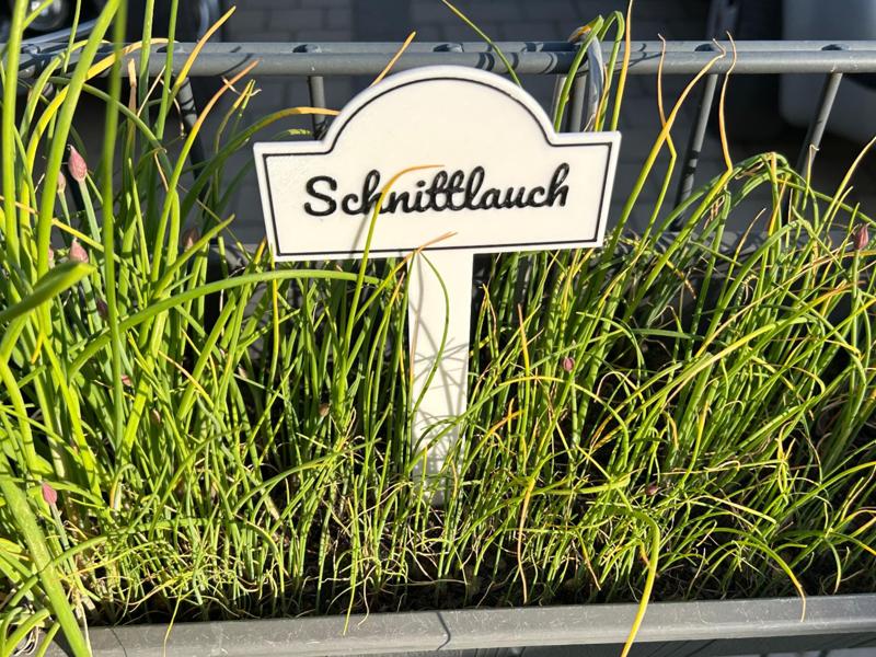 Herb Garden Markers