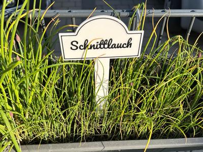 Herb Garden Markers