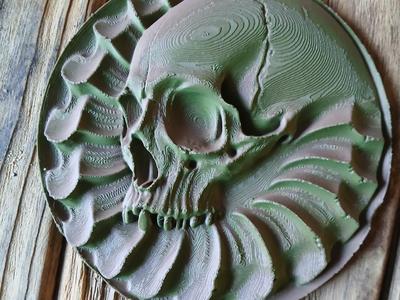Relief Skull